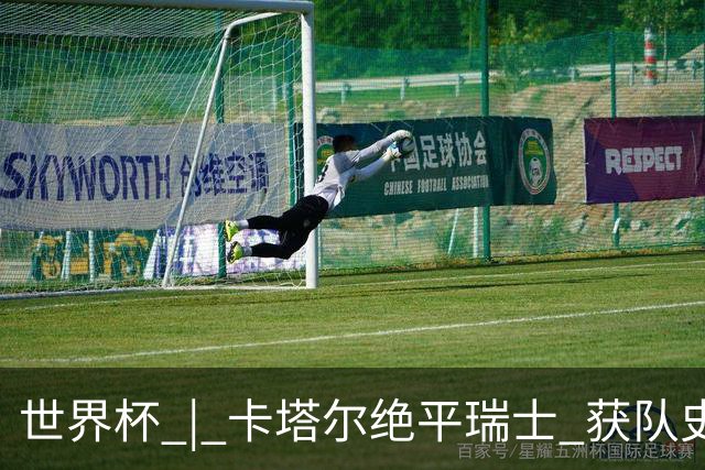 世界杯 | 卡塔尔绝平瑞士 获队史首个世界杯积分