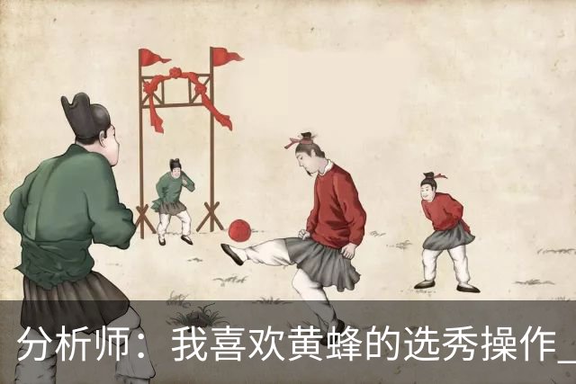 分析师：我喜欢黄蜂的选秀操作 施泰因巴赫简直是个内线巨兽